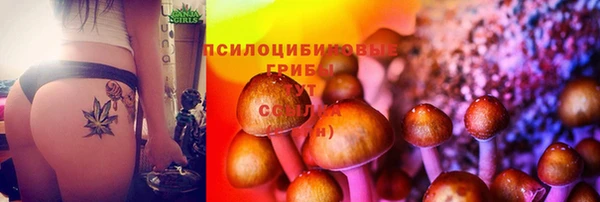 МДПВ Аркадак
